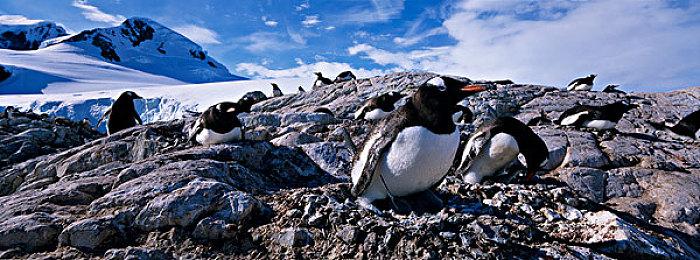 怀旧像素RPG《8位冒险2》确定同步发售主机版本