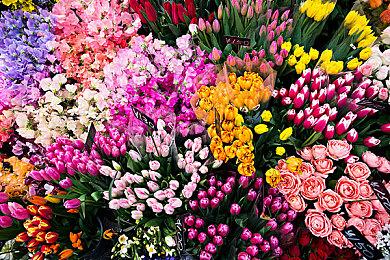 育碧表示如果E3还举办就会参加 展示多款作品